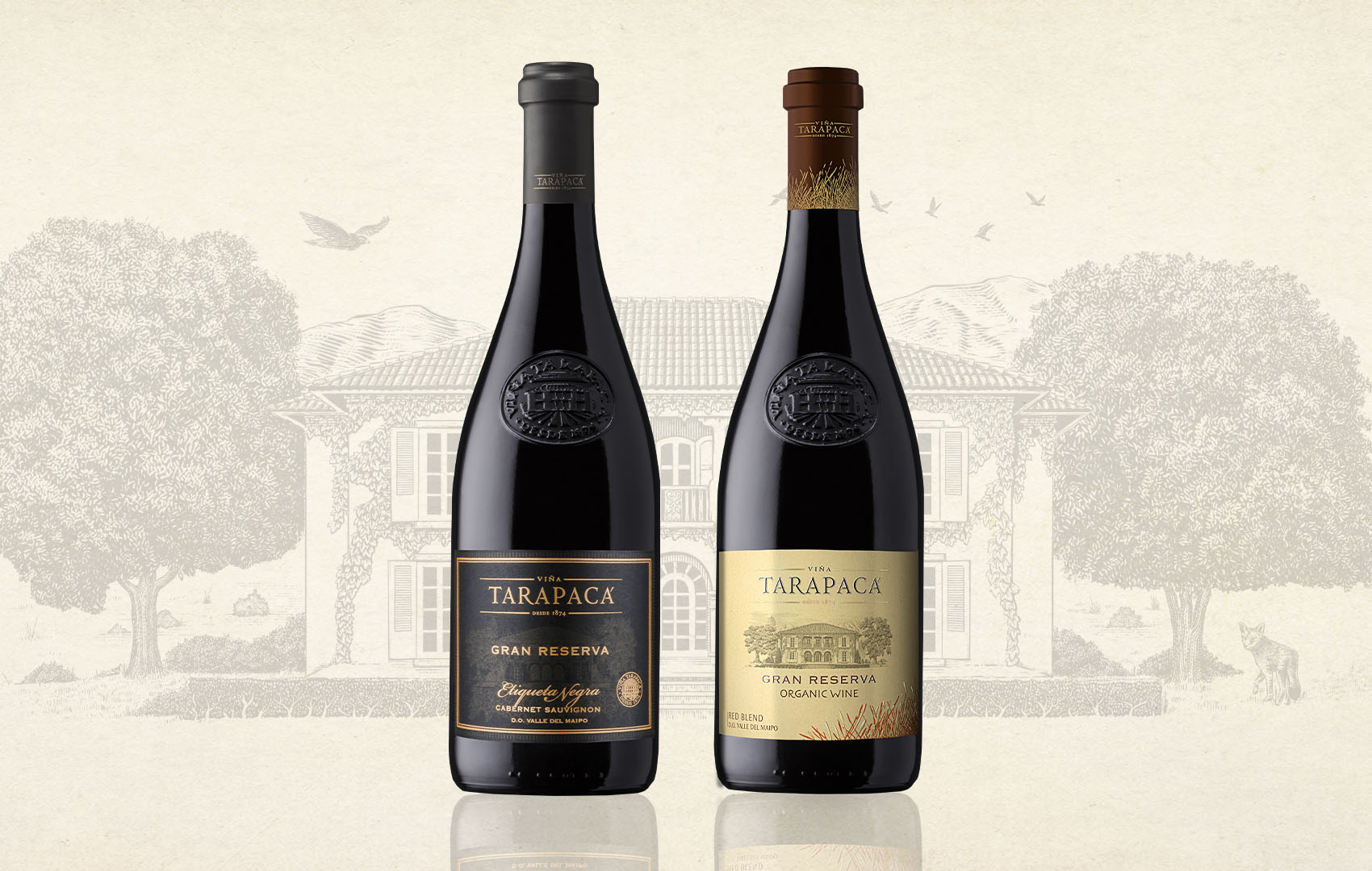 Enólogo de Viña Tarapacá recomienda dos vinos tintos