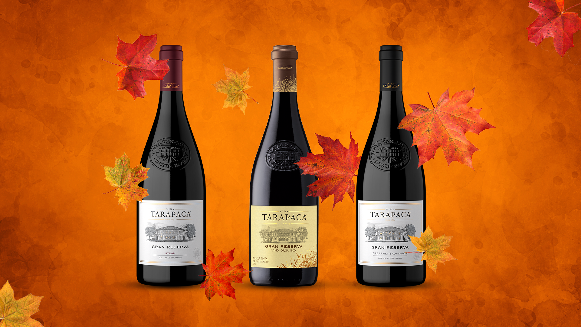 Tres vinos tintos para la temporada otoñal