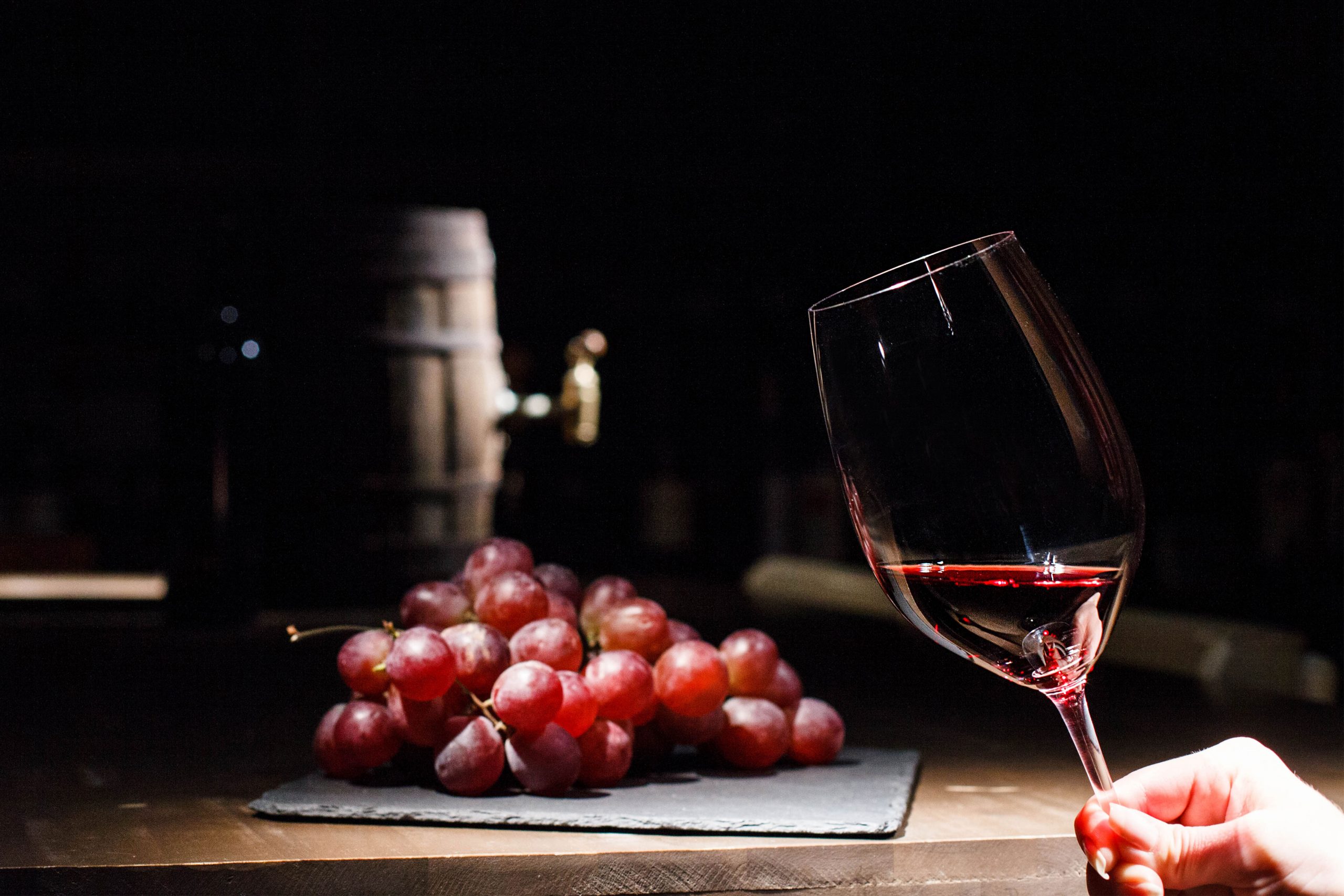 Día Internacional del Malbec