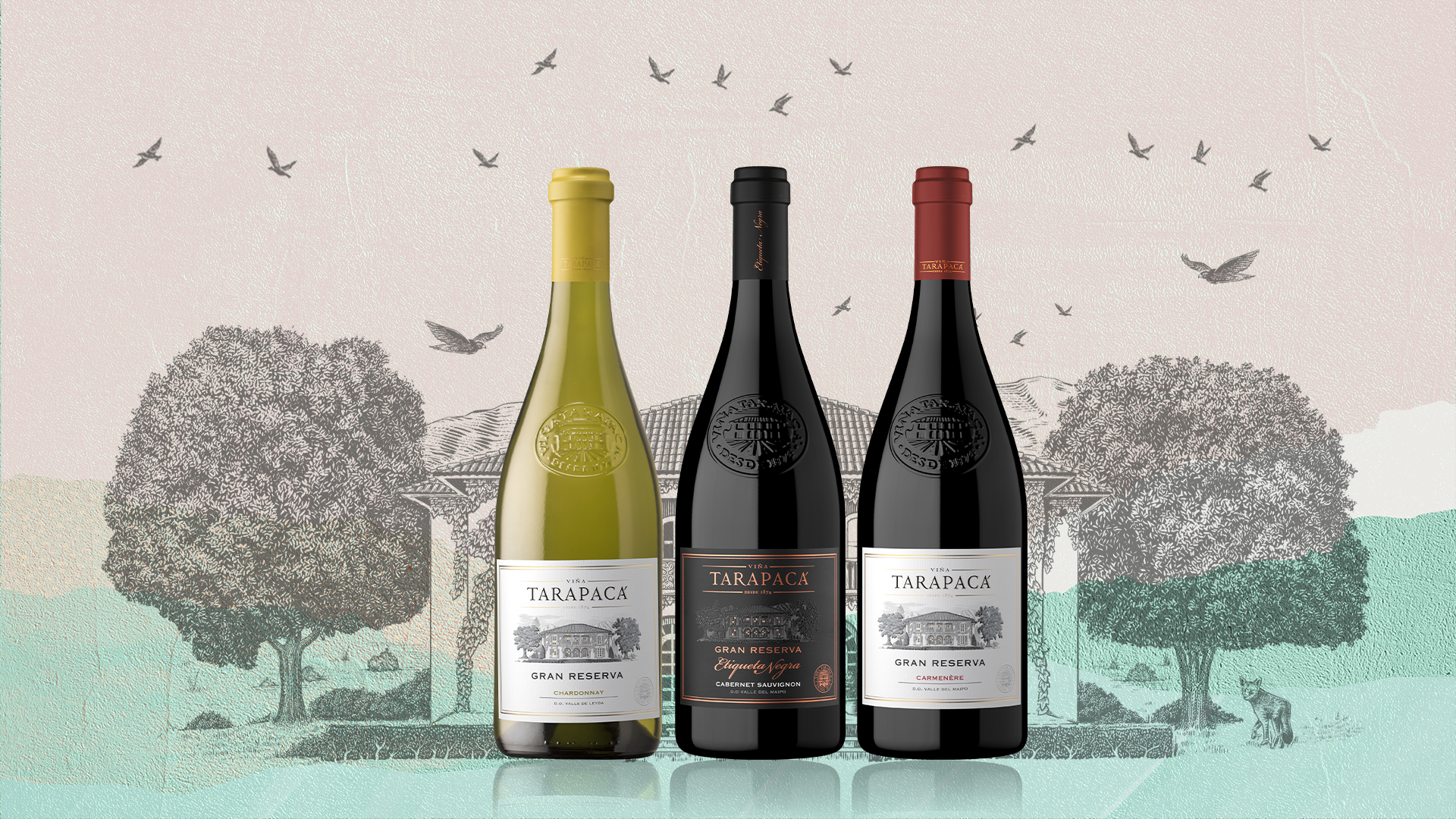 Enólogo recomienda vinos para celebrar y brindar