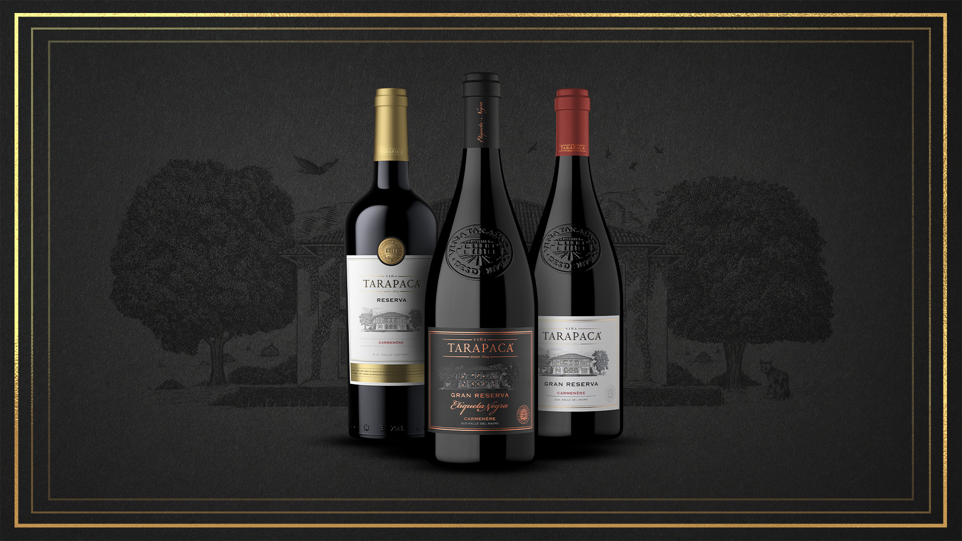 Carmenère: la historia de la cepa extinta que se redescubre en Chile