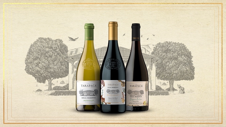 Enólogo selecciona los mejores vinos para las celebraciones de fin de año