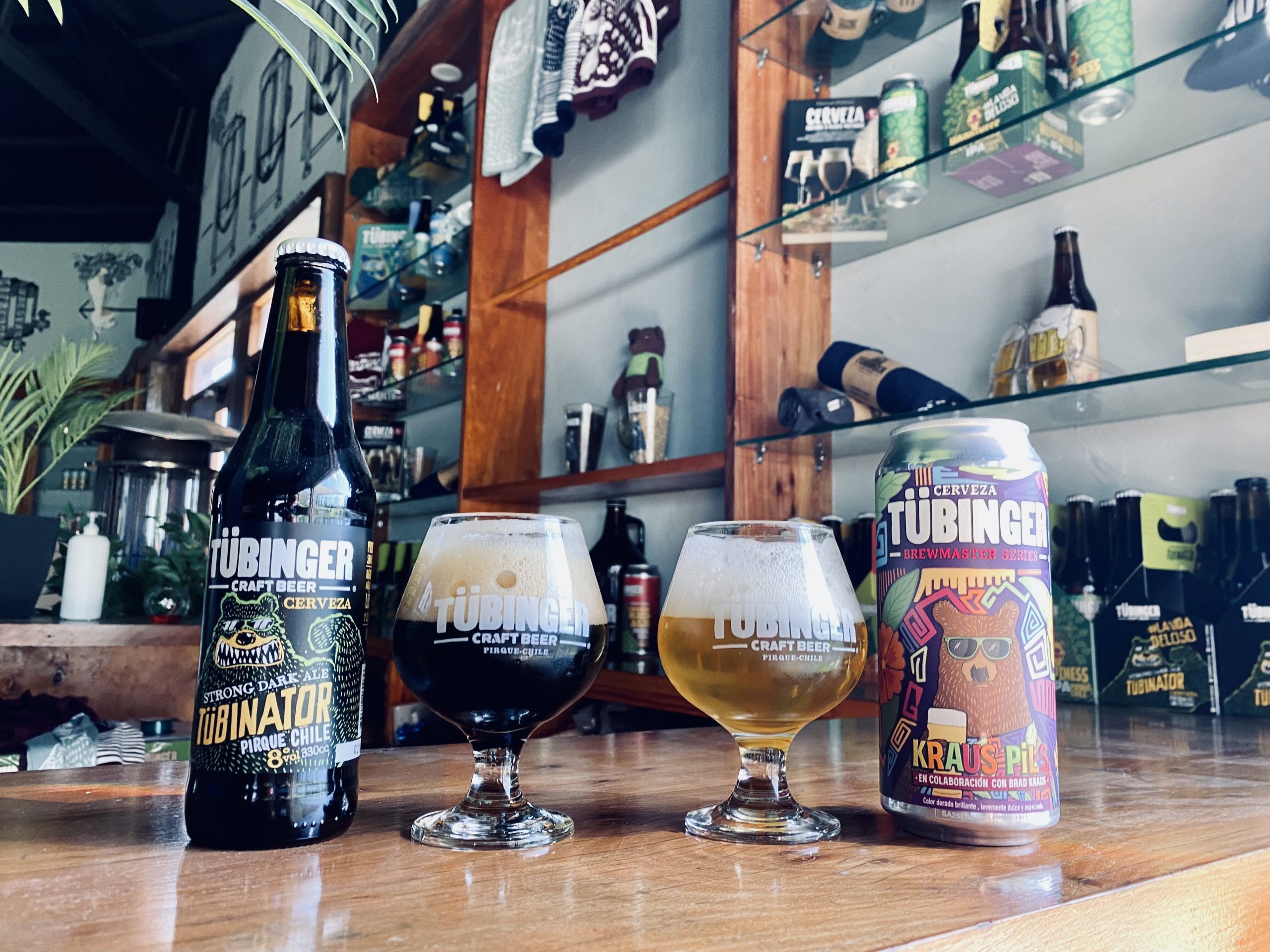 Tübinger gana medallas de Oro y Plata en Copa Internacional de Cervezas Tayrona
