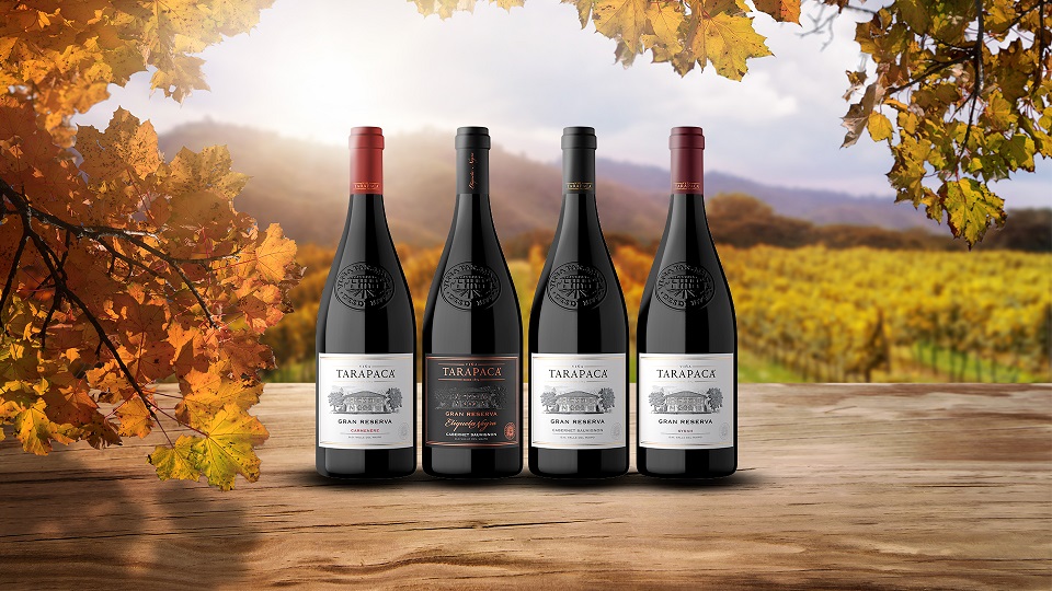 Vinos de otoño: Enólogo recomienda las mejores cepas para la temporada
